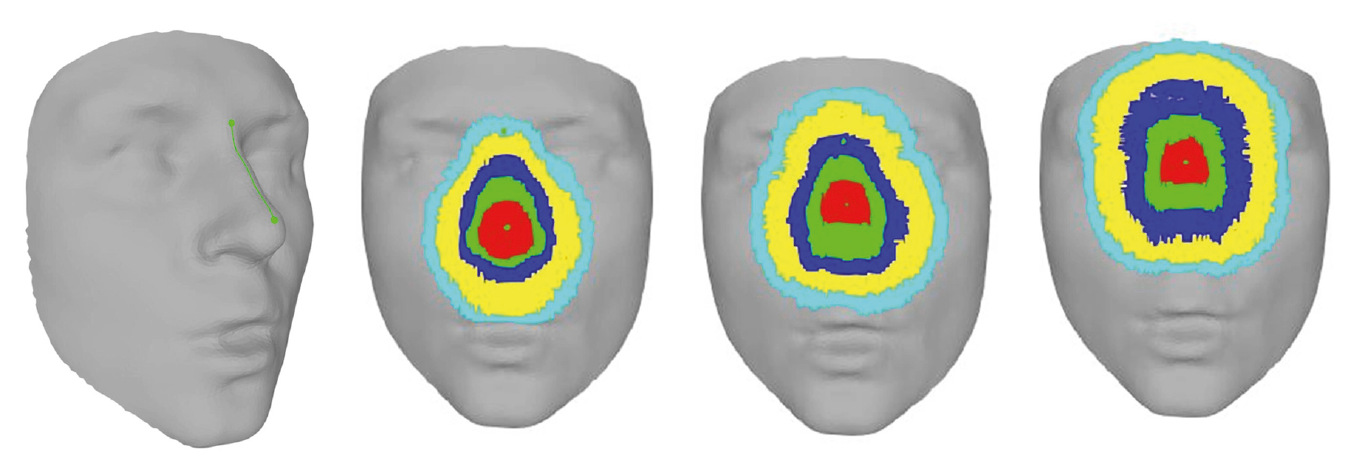 3D Face Recognition based on Local Conformal Parameterization and Iso-Geodesic Stripes Analysis.